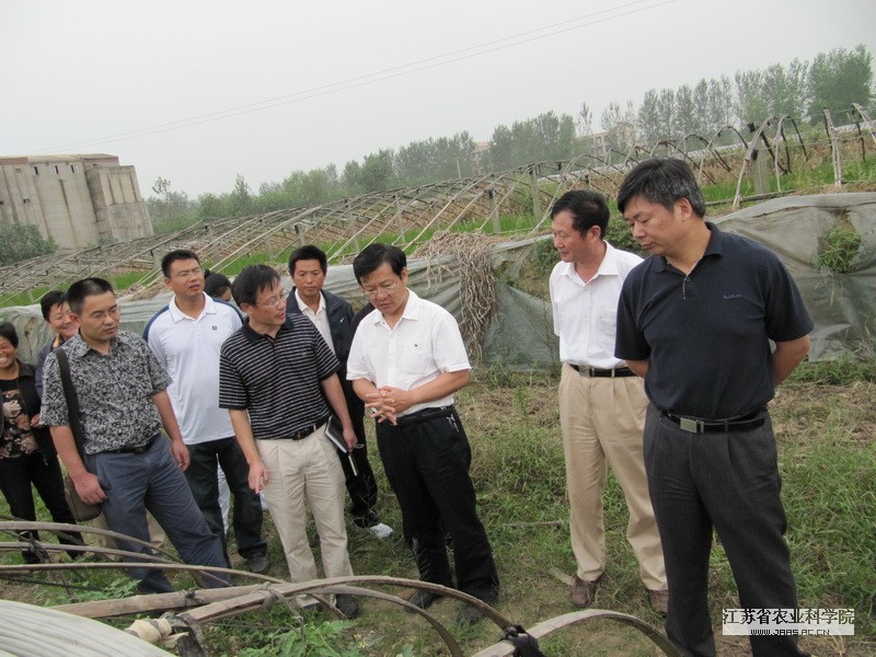 在此期间省农科院常有宏副院长,余文贵副院长,羊杏平所长和赵统敏副
