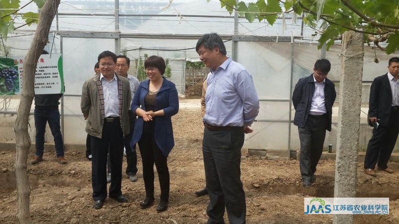 5月4-5日,副院长余文贵在蔬菜所党支部书记李胜和副所长赵统敏陪同下