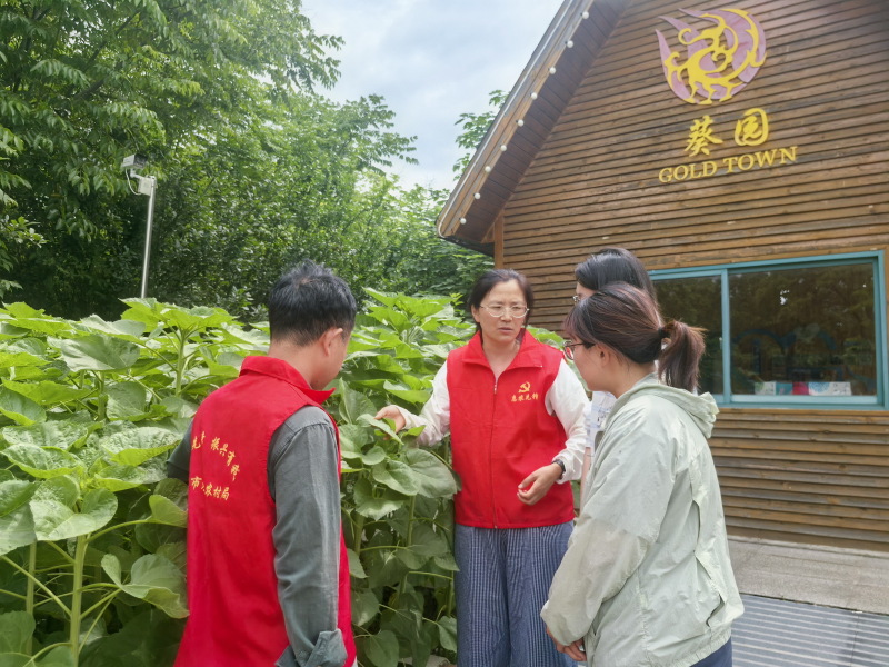 图片2_调整大小.jpg