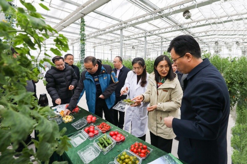江苏省农业科学院