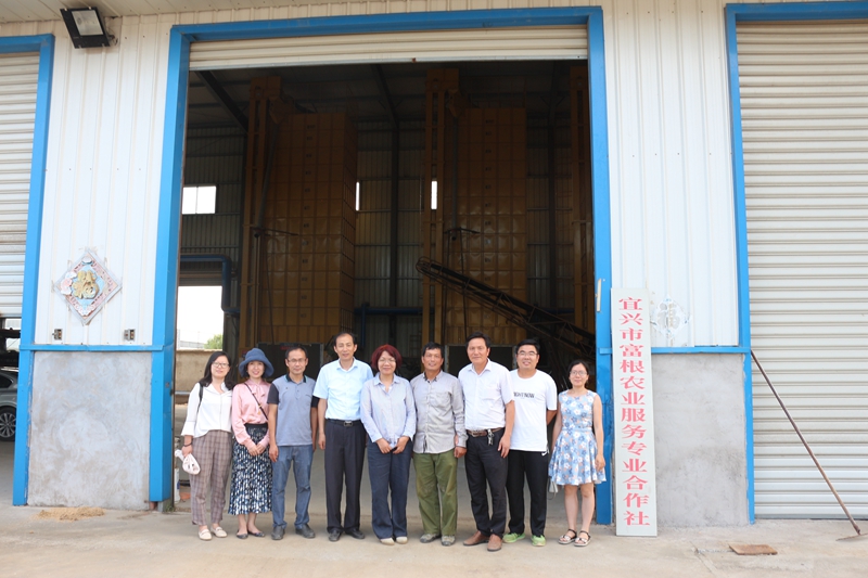 1564369996466722.jpg 高塍徐家桥根富家庭农场考察 (1).JPG