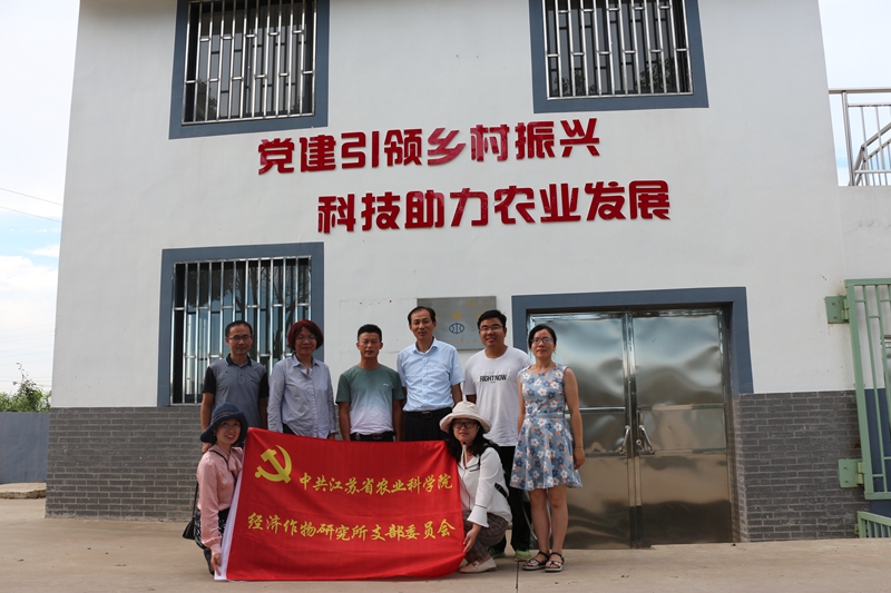 1564370014737995.jpg 高塍红塔宏兴葡萄基地调研 (1).JPG