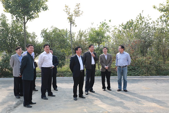 曹秀明副市长带队到农科院调研会办工作