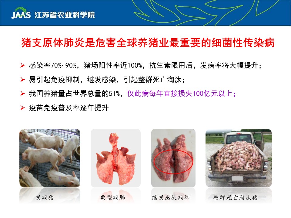 猪肺炎支原体slgA-ELISA抗体检测试剂盒转让