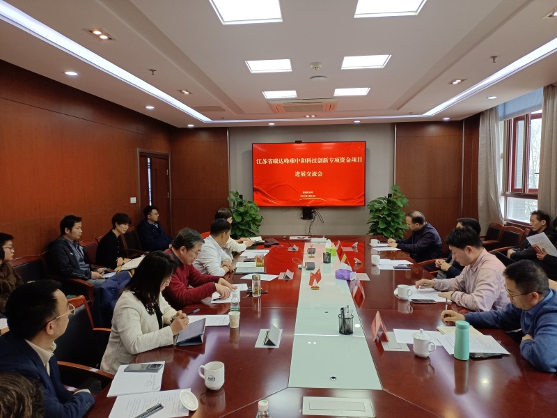 碳达峰 碳中和 王亚.jpg