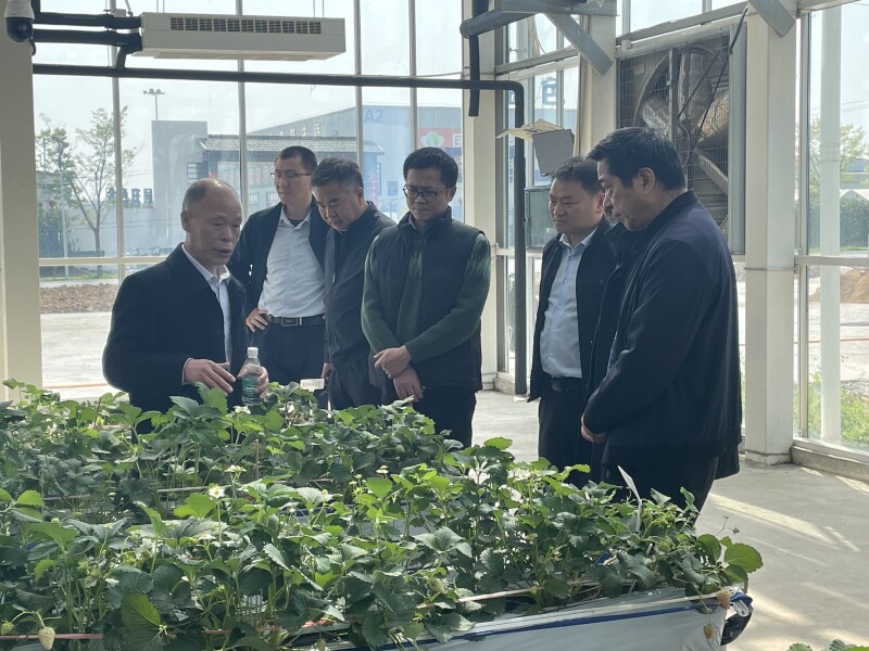 微信图片_20250407144919.jpg