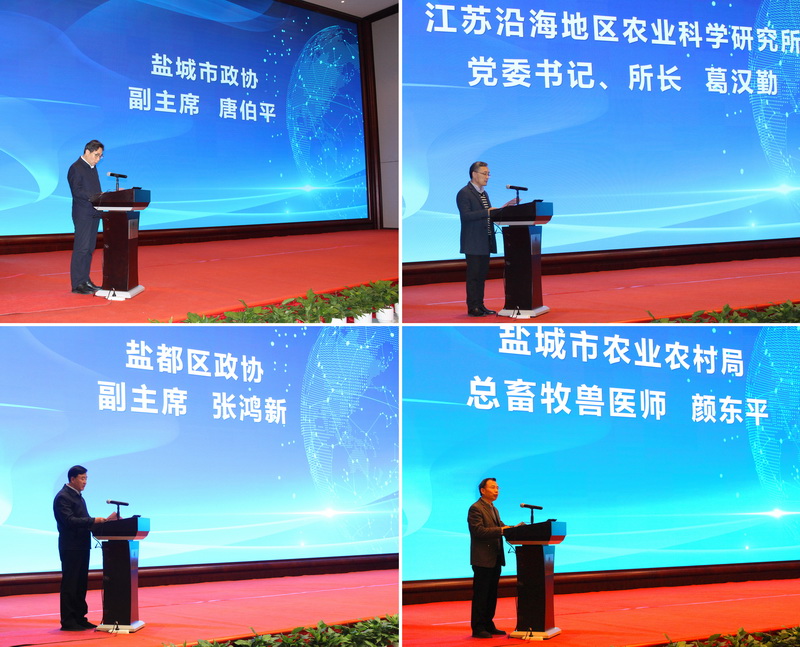 33_调整大小.jpg