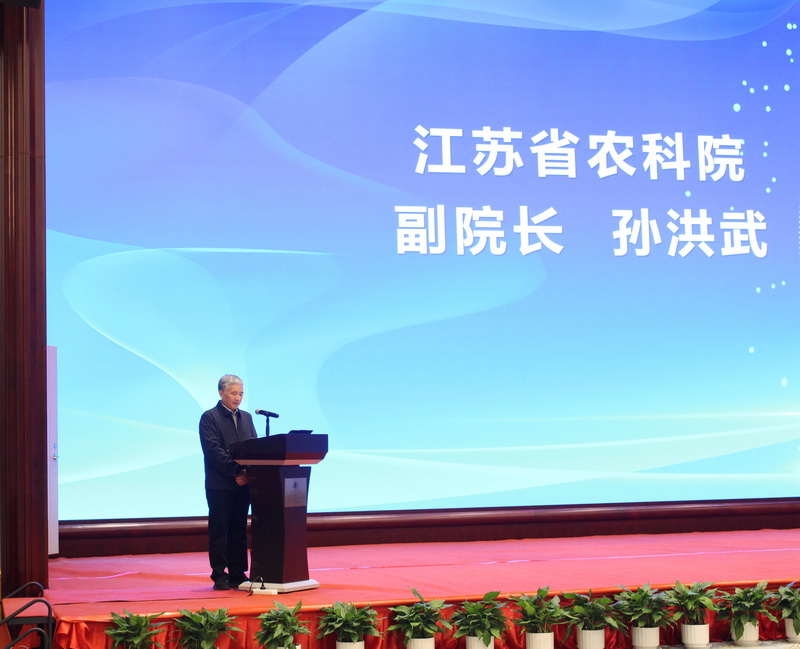 11_调整大小.jpg