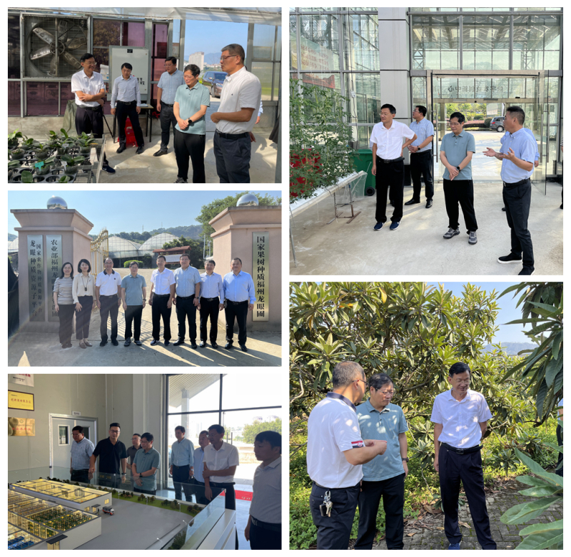 2参观兰花圃_副本1.jpg