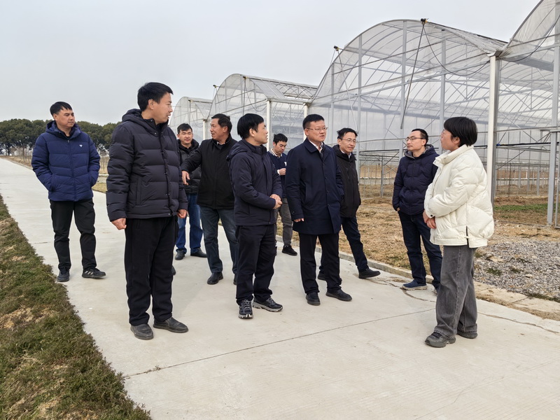中国工程院张绍铃院士应邀赴江苏丘陵地区梨科技联合创新中心指导工作2_调整大小.jpg