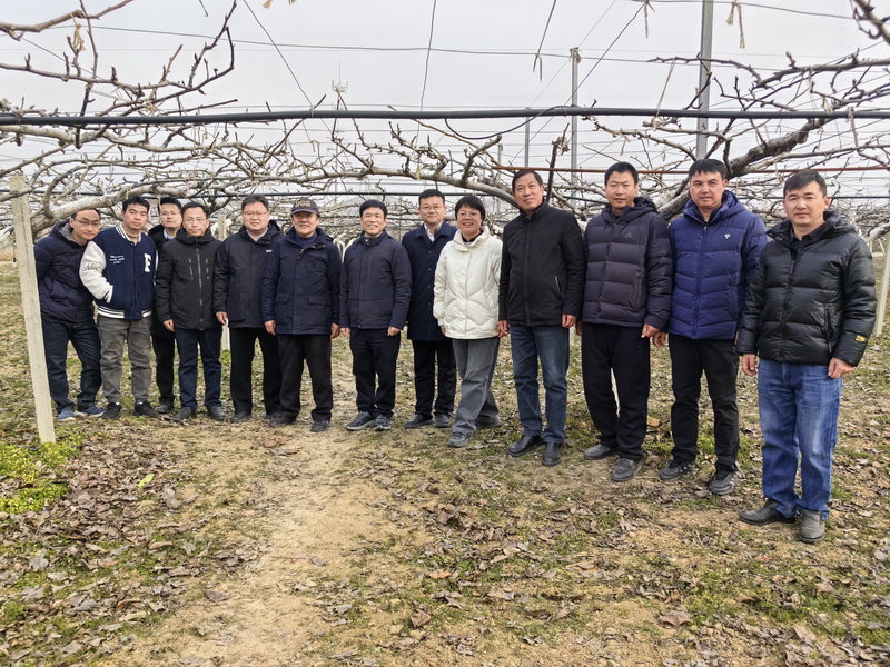 中国工程院张绍铃院士应邀赴江苏丘陵地区梨科技联合创新中心指导工作4_调整大小.jpg