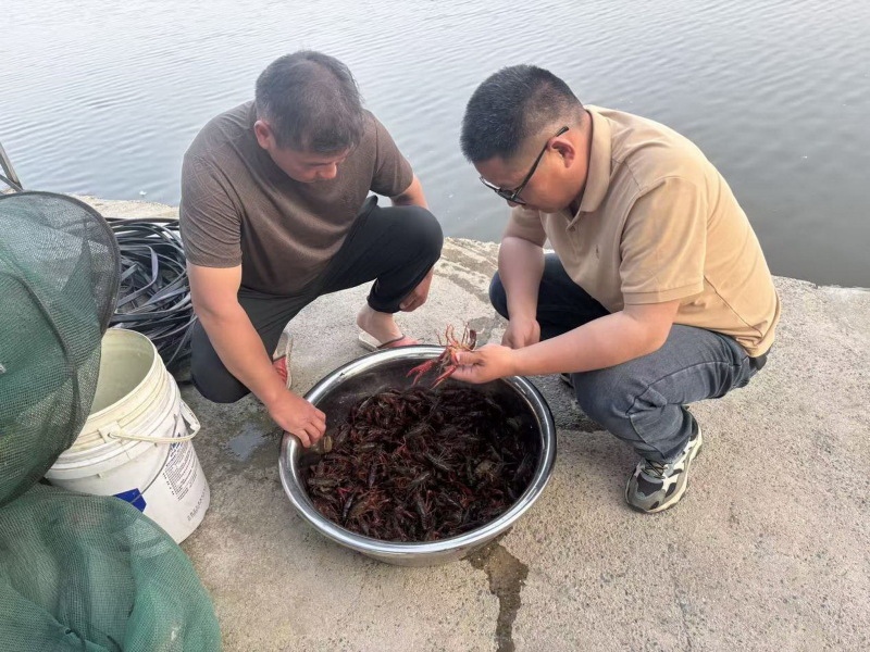 image003_调整大小.jpg