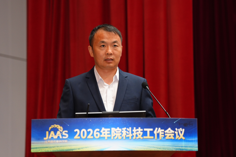 典型3.jpg