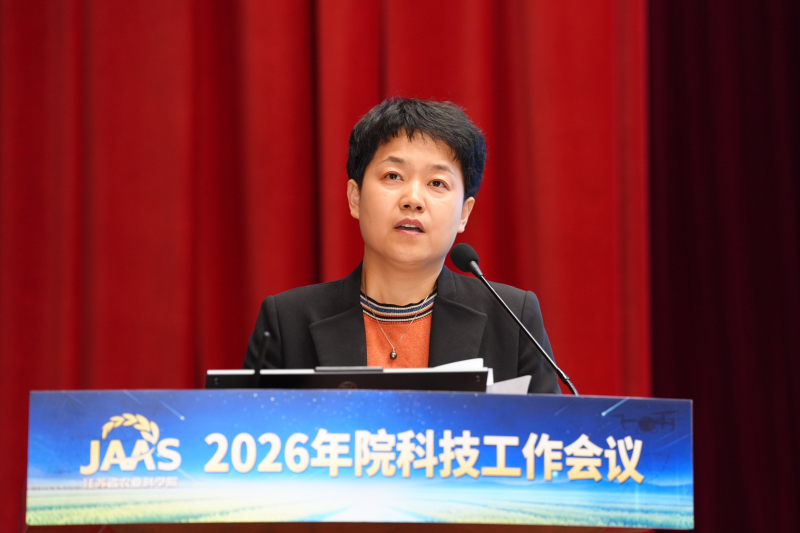 典型1.jpg