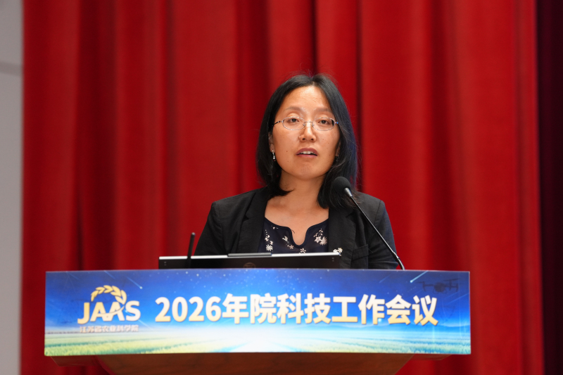 典型2.jpg
