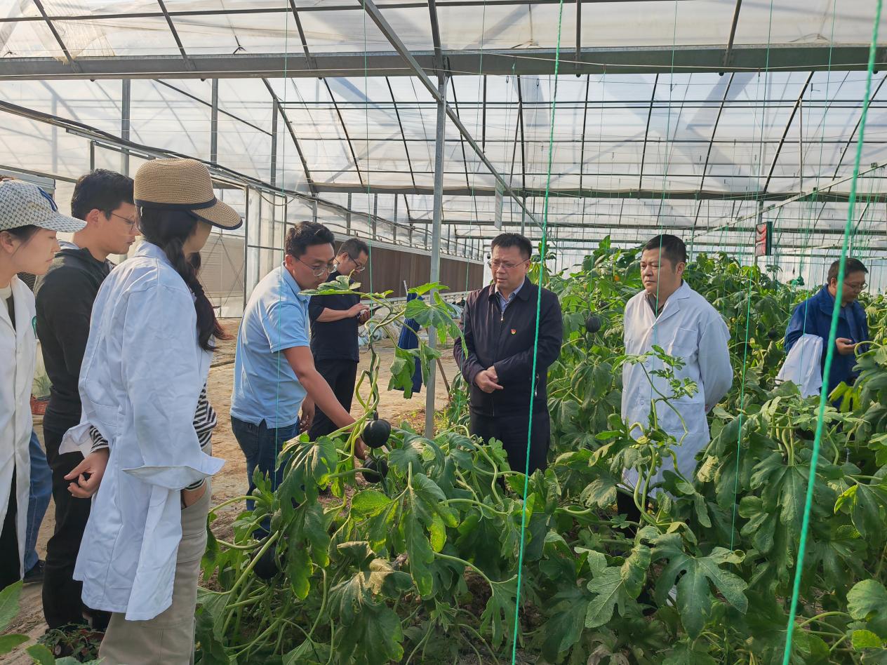 微信图片_20241029172957