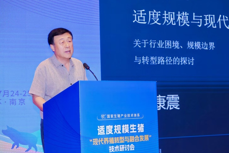 于康震.jpg